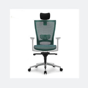 Ergonomic office chairs-ChaoFan Group Co.Ltd